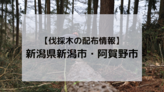 薪を求める人のための伐採木 配布情報ログ – Makibeeeee | 3度のメシより薪が好き